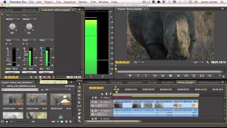 How To Record A VoiceOver in Premiere Pro CS6 [upl. by Oiramrej]