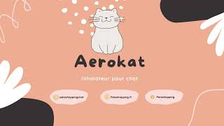 Aerokat inhalateur pour chat  Pour traiter lasthme félin [upl. by Alissa288]