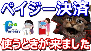 Payeasyペイジー支払い税金や保険の納付は今！「振込書」や「請求書」があれば5000円から最大10000円が当たるチャンス！ [upl. by Cecily]