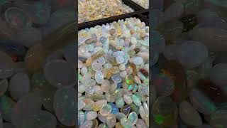 Natural opals by House of Opals JAGS2024 gems gem gemstones gemstone [upl. by Smitty]