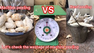 Check out wastage of cassava peeling machine and hand peeling [upl. by Ingrid]