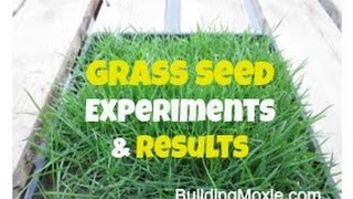 How to Plant Grass Seed  5 Basic Steps with a Grass Seed Expert [upl. by Alyk]