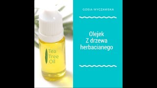 Melaleuca Olejek z drzewa herbacianego [upl. by Dinan]