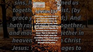 Daily Bible Verse Ephesians 257 wordsofjesuseachday bibleverse wordfortoday faithjourney [upl. by Lamaj697]