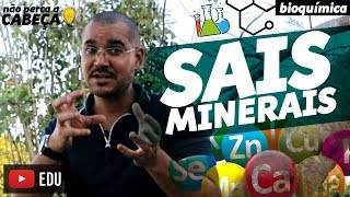 SUBSTÂNCIAS INORGÂNICAS SAIS MINERAIS  Bioquímica  prof Bio Bio [upl. by Jemma808]