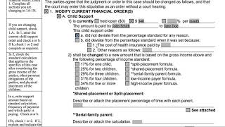 Completing the Child Support Section of a Stipulation [upl. by Ximena479]