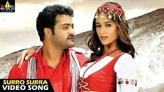 Shakti Songs  Surro Surra Video Song  Jr NTR Ileana  Sri Balaji Video [upl. by Grados]