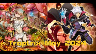 Traptrix Deck  Post April 2024 Banlist  Master Duel [upl. by Sirkin]