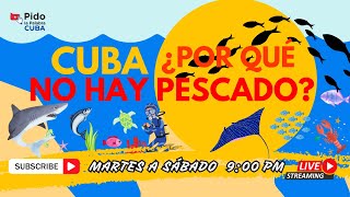 Cuba ¿Por qué no hay pescado [upl. by Channing]