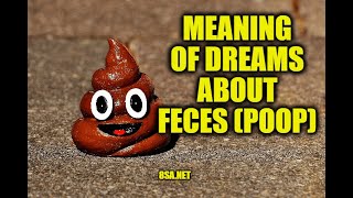 What Does Feces Poop Mean in a Dream Meaning of Dreams About Pooping [upl. by Hogle823]