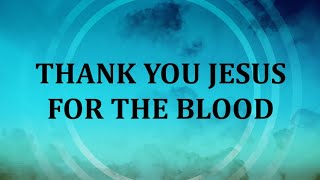 Thank You Jesus For The Blood Instrumental [upl. by Aloek]