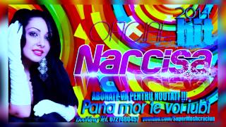 NARCISA  PANA MOR TE VOI IUBI HIT 2014 [upl. by Basilio76]