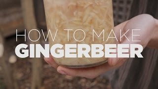 How to make Ginger Beer  probiotic or alcoholic you decide [upl. by Cohlette]