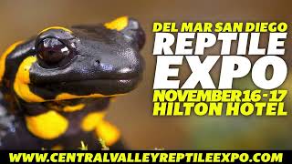 Del Mar Reptile Expo November 16th amp 17th at the Del Mar Hilton Hotel [upl. by Anaugahs]