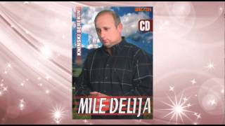 Mile Delija  Momak sa Banije  Audio 2006 [upl. by Atikin]