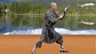 Shaolin kung fu luohan 18 hands [upl. by Kerat]