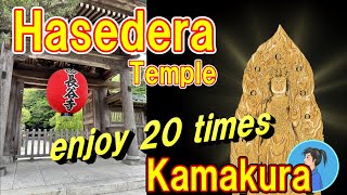 【Hasedera Kamakura】How to enjoy Hasedera temple Kamakura Japan sightseeing 20 times more [upl. by Damien839]