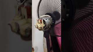 1999 National stand fan F40SLX motor startup and broken Dowell desk fan [upl. by Kenimod]