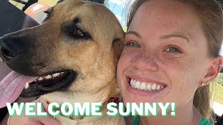 I got a new dog Welcome Sunny [upl. by Ratha]