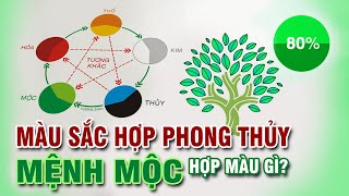 Mệnh Mộc hợp màu gì  Mệnh Mộc Kỵ màu gì  Màu sắc phong thủy  Trong thiết kế và cuộc sống [upl. by Zitah]