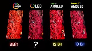 Super AMOLED vs OLED vs Flow OLED vs Dynamic AMOLED 2X  Display Test [upl. by Evelina]