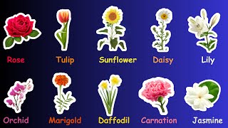 Flowers name  Learn Flower name in English Different Types of Flowers [upl. by Hanser]