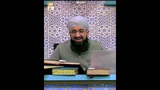 Azwaj e Mutahirat main se Kon Kon Hafiza Han  Mufti Muhammad Sohail Raza Amjadi [upl. by Behah703]