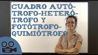 Cuadro autótrofoheterótrofo y fotótrofoquimiótrofo [upl. by Pucida705]