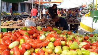 feira livre Venturosa Pe291024 [upl. by Togram420]