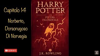 Harry Potter e la Pietra Filosofale audiolibro narrato da Francesco Pannofino  capitolo 14 [upl. by Jamill658]