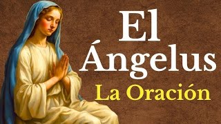 Poderosa Oración del Ángelus Hoy Martes  Oramos por las familias del mundo 🤭🙏🙏 shorts short [upl. by Constancy]