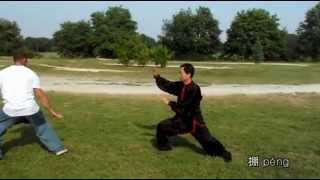 Taijiquan Eight Basic Energies Methods  Wang Fengming [upl. by Ellerahc]