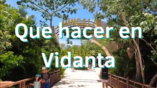 ¿Que hacer en Vidanta y Jungala [upl. by Engeddi]