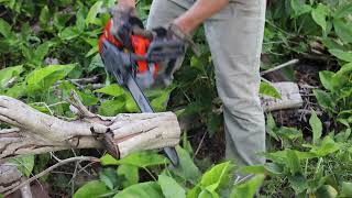 Husqvarna T540xp Mark 3 First Starts and Cuts  Husqvarnas New Top Handle Chainsaw [upl. by Eatnahc543]