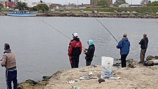 DIRECTO DESDE LA ESCOLLERA PESCANDO A PURO PIQUE [upl. by Nahgiem]