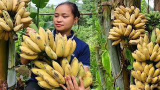 FULL VIDEO 120 Days Harvest Banana Litchi Fruit Melon Plum go market sell  Cooking Gardening [upl. by Othello899]