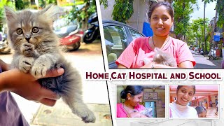 Nova cat ko kya ho gya Jo hum gye Pet Hospital 😱 [upl. by Suidualc301]