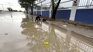 Unblocking Chaos Restoring Order by Unclogging a Flash Flood Drain [upl. by Charbonneau]