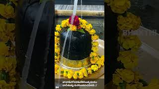 శ్రీ విశ్వనాథాష్టకం  Vishwanathashtakam With Lyrics  Lord Shiva Bhakthi Songs  Bhakthi Songs [upl. by Lemmie]