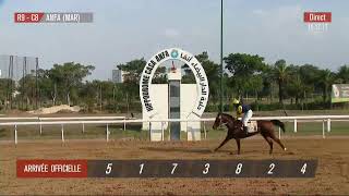 Live Hippodrome « CASABLANCA »  Courses du « 14102024 » [upl. by Ettedranreb275]