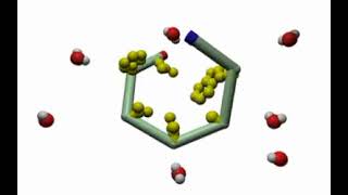 Hydrophobic Interactions in Protein Folding [upl. by Annahoj431]