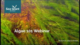 Michigan Algae 101 Webinar 2024 [upl. by Nahttam]