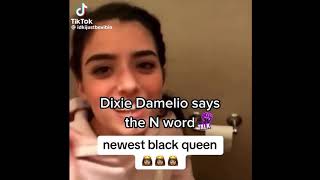 Dixie Damelio saying the N word [upl. by Sassan]