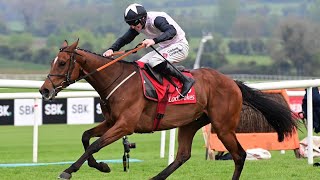 TEAHUPOO completes G1 hattrick with Champion Stayers Hurdle triumph at Punchestown [upl. by Enitnelav]