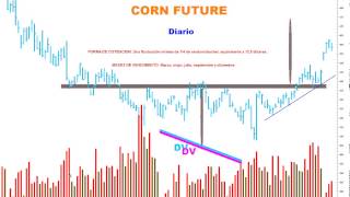 Precio y Volumen también es muy útil en el futuro del maíz [upl. by Lara111]