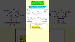 Mutarotation of Fructose shorts carbohydrates biomolecules biochemistry neet [upl. by Euqinommod]