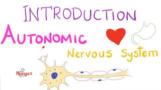 Autonomic Nervous System [upl. by Anehta45]