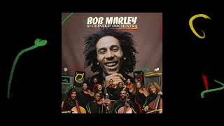 Stir It Up – Bob Marley and The Chineke Orchestra Visualizer [upl. by Helbonia]