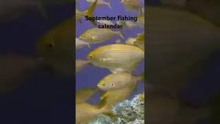 September fishing calendar the best days to go fishing fishing by the moon cycle fishing [upl. by Ainehs]