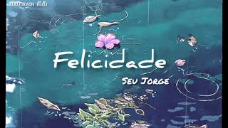 Felicidade  Seu Jorge legendado [upl. by Htebsle93]